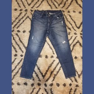 Lane Bryant Skinny Genius Fit Jeans - Size 14